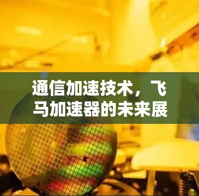 通信加速技术，飞马加速器的未来展望