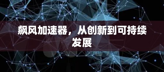 飙风加速器,从创新到可持续发展