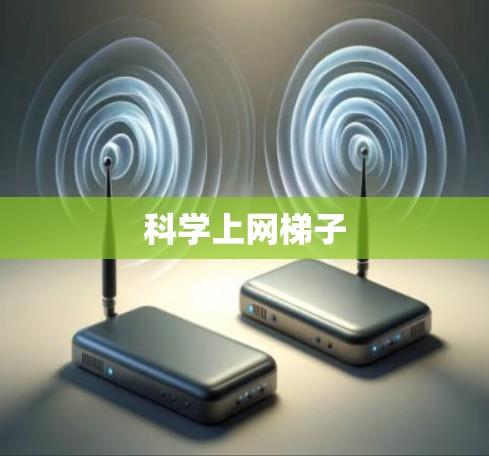 科学上网梯子 科学上网梯子