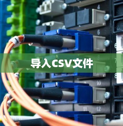 导入CSV文件 导入CSV文件