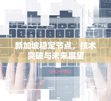 新加坡稳定节点,技术突破与未来展望 新加坡稳定节点,技术突破与未来展望