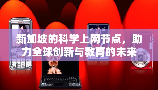 新加坡的科学上网节点,助力全球创新与教育的未来
