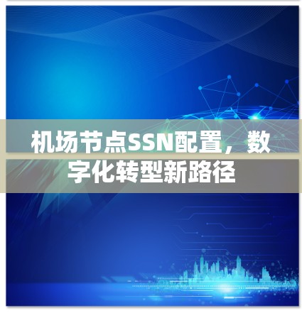 机场节点SSN配置,数字化转型新路径