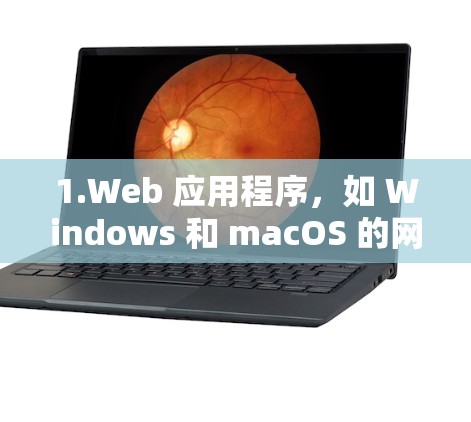 1.Web 应用程序,如 Windows 和 macOS 的网页应用,它们需要将代码传送到服务器端运行,再返回结果到用户端