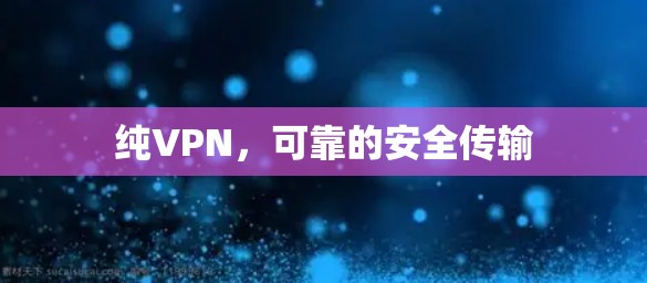 纯VPN,可靠的安全传输