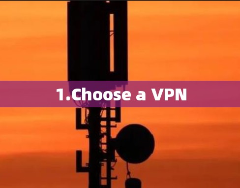1.Choose a VPN