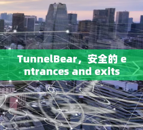 TunnelBear，安全的 entrances and exits