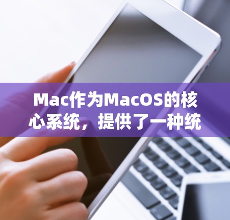 Mac作为MacOS的核心系统，提供了一种统一的界面和丰富的功能，包括网络连接。以下是对Mac高速网络连接的详细分析