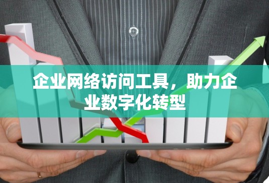 企业网络访问工具,助力企业数字化转型