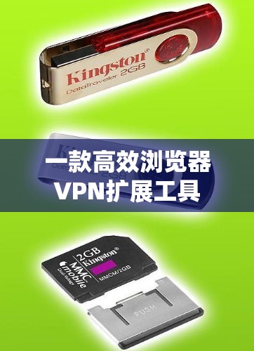 一款高效浏览器VPN扩展工具