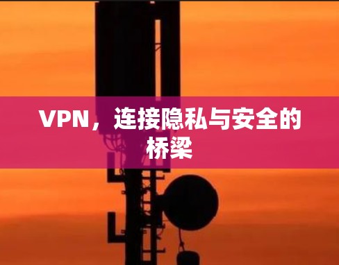 VPN,连接隐私与安全的桥梁 VPN,连接隐私与安全的桥梁