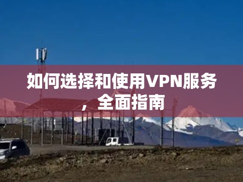 如何选择和使用VPN服务，全面指南
