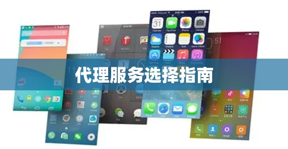 代理服务选择指南 代理服务选择指南