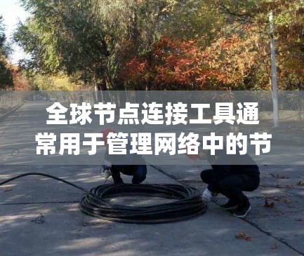 全球节点连接工具通常用于管理网络中的节点,使其能够连接到全球网络环境。以下是一个系统的解释