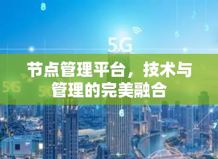 节点管理平台,技术与管理的完美融合 节点管理平台,技术与管理的完美融合