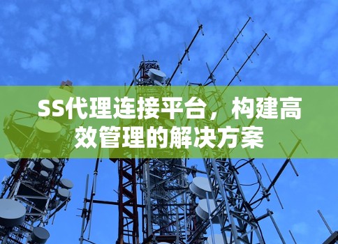 SS代理连接平台,构建高效管理的解决方案 SS代理连接平台,构建高效管理的解决方案