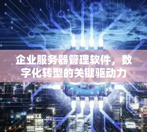 企业服务器管理软件,数字化转型的关键驱动力 企业服务器管理软件,数字化转型的关键驱动力