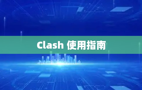 Clash 使用指南