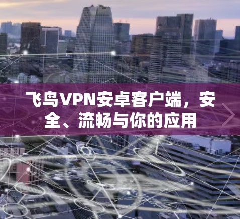 飞鸟VPN安卓客户端,安全、流畅与你的应用