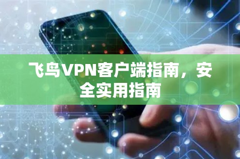 飞鸟VPN客户端指南，安全实用指南