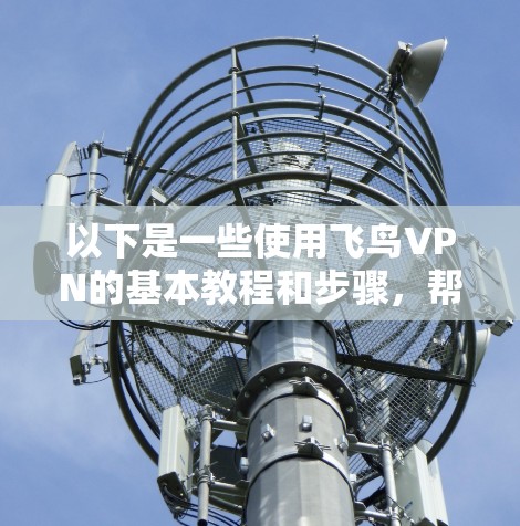以下是一些使用飞鸟VPN的基本教程和步骤,帮助你更好地理解和使用该服务