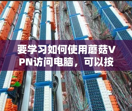要学习如何使用蘑菇VPN访问电脑，可以按照以下步骤进行