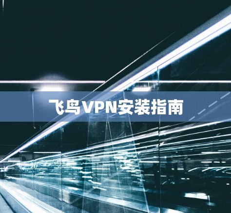 飞鸟VPN安装指南