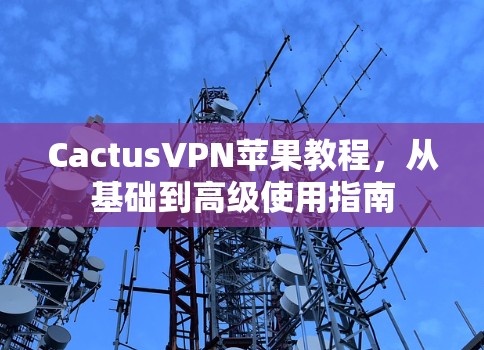 CactusVPN苹果教程，从基础到高级使用指南
