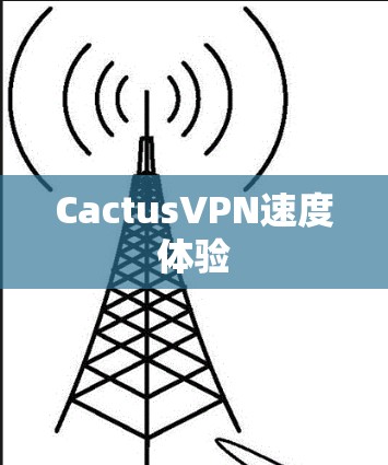 CactusVPN速度体验