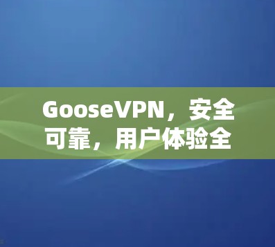 GooseVPN,安全可靠,用户体验全体验 GooseVPN,安全可靠,用户体验全体验