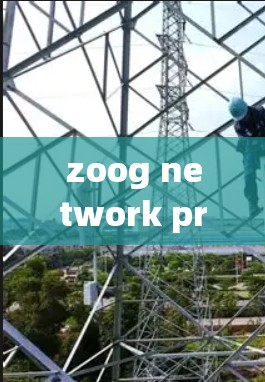 zoog network protection VPN设置解析