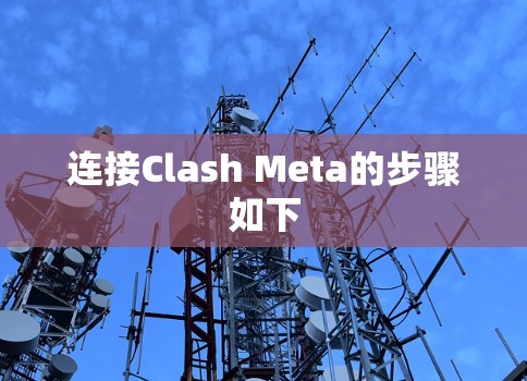 连接Clash Meta的步骤如下