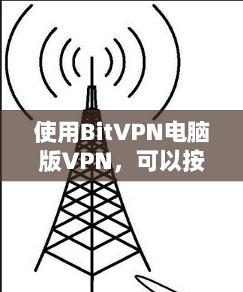 使用BitVPN电脑版VPN,可以按照以下步骤进行 使用BitVPN电脑版VPN,可以按照以下步骤进行