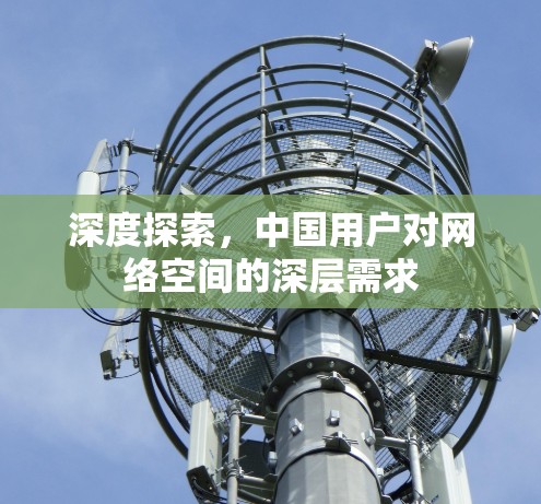 深度探索,中国用户对网络空间的深层需求