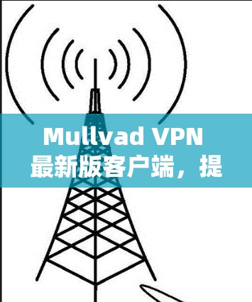 Mullvad VPN 最新版客户端,提升网络体验的高效VPN解决方案