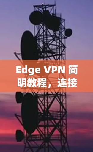 Edge VPN 简明教程，连接方式、功能与优势