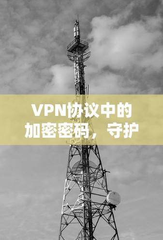 VPN协议中的加密密码，守护数字世界的安全密码