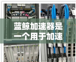 蓝鲸加速器是一个用于加速电脑的软件,帮助用户提升电脑性能和清理文件。以下是使用蓝鲸加速器的步骤