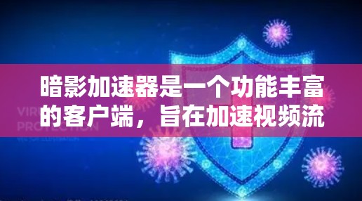 暗影加速器是一个功能丰富的客户端，旨在加速视频流和游戏体验。以下是对其功能和使用信息的详细分析