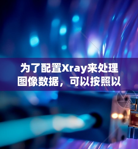 为了配置Xray来处理图像数据,可以按照以下步骤进行