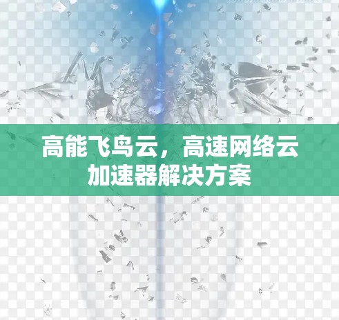 高能飞鸟云,高速网络云加速器解决方案