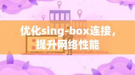 优化sing-box连接,提升网络性能