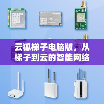 云狐梯子电脑版,从梯子到云的智能网络解决方案