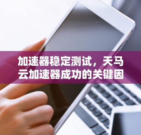 加速器稳定测试,天马云加速器成功的关键因素
