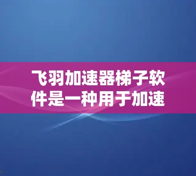飞羽加速器梯子软件是一种用于加速移动应用的工具，通常用于提升应用的运行速度。以下是针对该软件的逐步指南