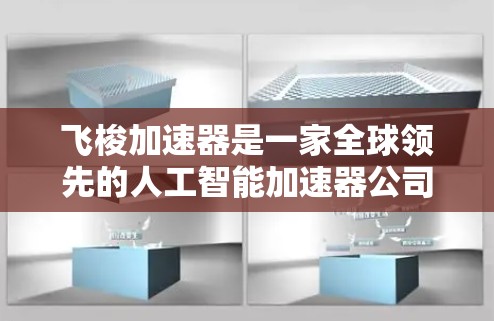 飞梭加速器是一家全球领先的人工智能加速器公司，专注于通过AI技术实现高速、精准的太空加速。其国际节点分布较为广泛，主要合作于以下几个主要国家和地区