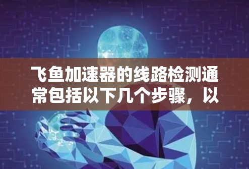 飞鱼加速器的线路检测通常包括以下几个步骤，以确保其正常运行