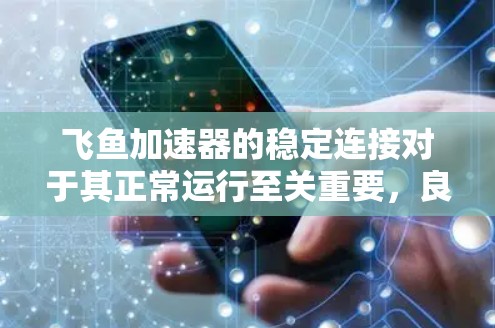 飞鱼加速器的稳定连接对于其正常运行至关重要，良好的连接确保了电路的稳定性和可靠性。以下是对稳定连接的详细说明