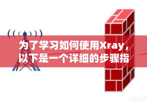 为了学习如何使用Xray，以下是一个详细的步骤指南