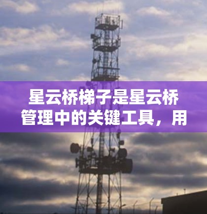 星云桥梯子是星云桥管理中的关键工具，用于连接和管理星云桥之间的梯子。梯子通过转移权限来实现桥之间的管理。以下是详细的步骤说明